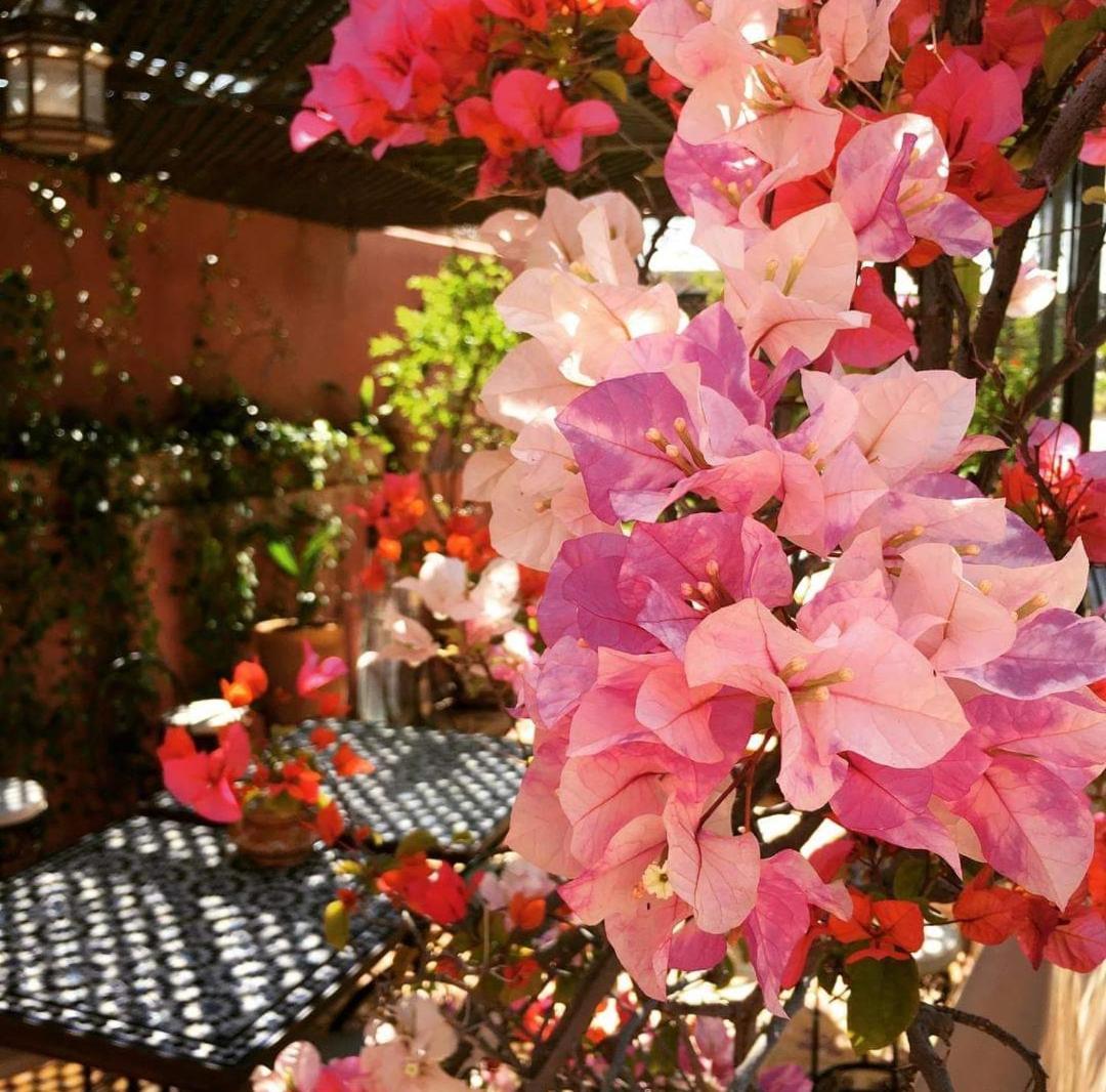 Riad Green Lotus Marrakesh Exterior photo